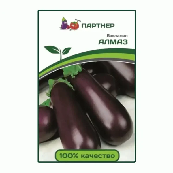 Рассада баклажанов Алмаз