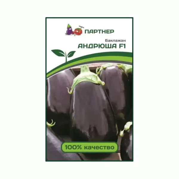 Рассада баклажанов Андрюша