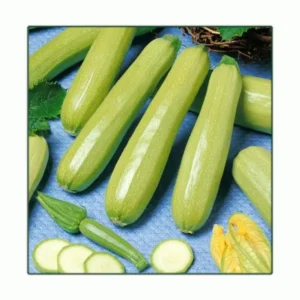кабачки кивили